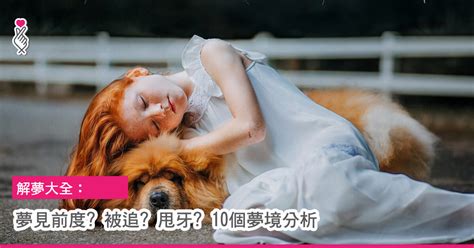 夢境分析|周公解夢大全